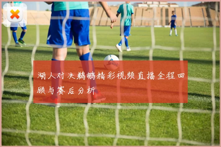 湖人对决鹈鹕精彩视频直播全程回顾与赛后分析